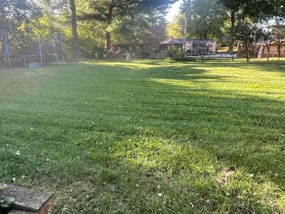 Lawn care service in Louisville, 40223