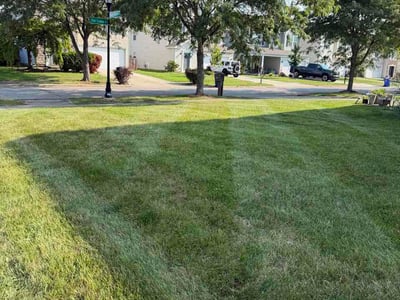 Lawn care service in Canal Winchester, 43110