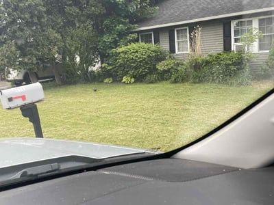 Lawn care service in East Syracuse, 13057