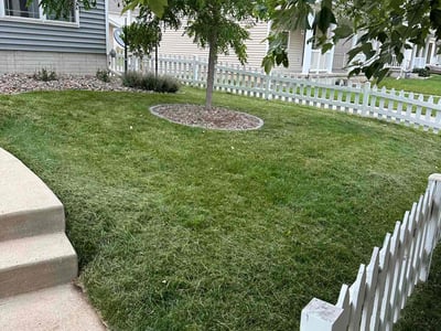 Lawn care service in Ankeny, 50023