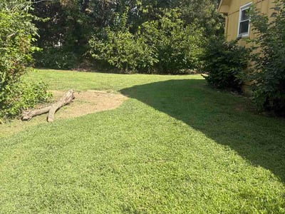 Lawn care service in Olathe, 66062
