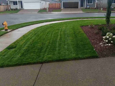 Lawn care service in Linn County, 97355