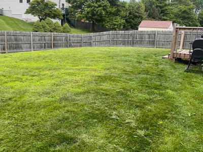Lawn care service in Indianapolis, 46214