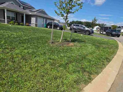 Lawn care service in Lebanon, 17042