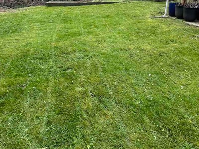 Lawn care service in Bremerton, 98311