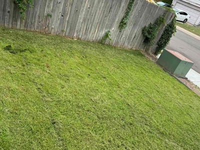 Lawn care service in Colorado Springs, 80916