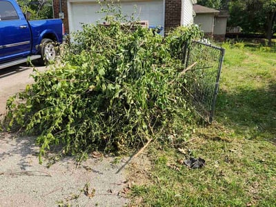 Lawn care service in , 
