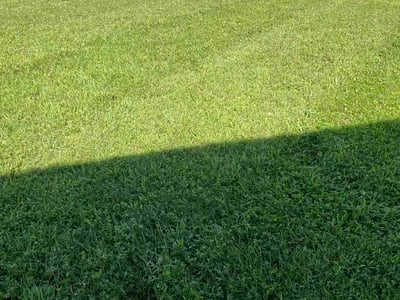 Lawn care service in Edgewood, 21040