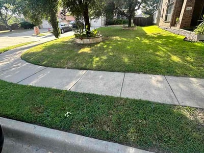 Lawn care service in Richardson, 75082