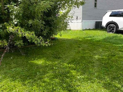 Lawn care service in Wadsworth, 44281