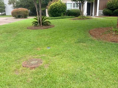 Lawn care service in Hanahan, 29410