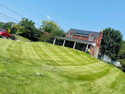 Lawn care service in Silver Spring, 20901