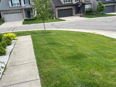 Lawn care service in Orion Township, 48359