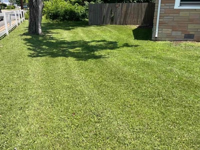 Lawn care service in Hampton, 23661