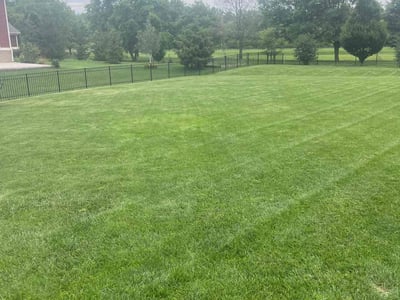 Lawn care service in Carmel, 46033