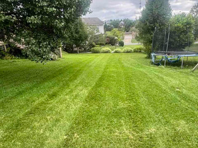 Lawn care service in West Chester Township, 45069