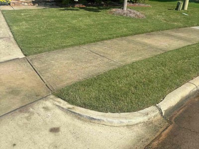 Lawn care service in Raleigh, 27603