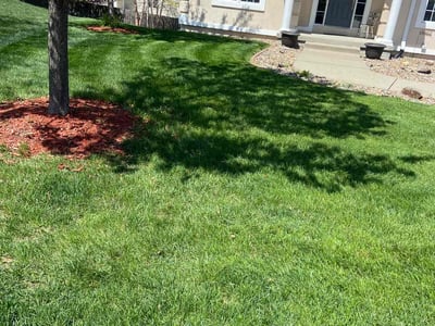 Lawn care service in Johnston, 50131