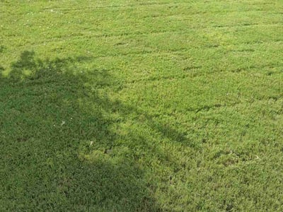 Lawn care service in Lexington, 29073