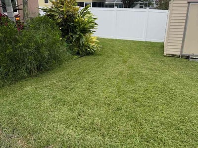 Lawn care service in Largo, 33774