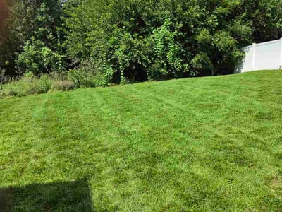 Lawn care service in Papillion, 68133