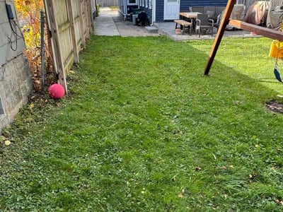 Lawn care service in Buffalo, 14213
