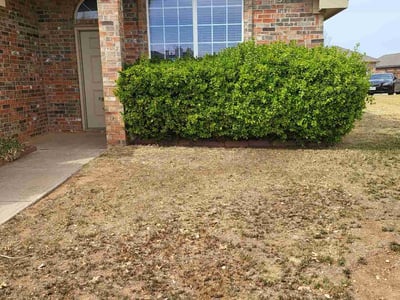Lawn care service in Lubbock, 79416