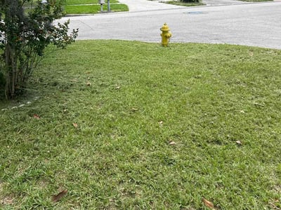 Lawn care service in Jacksonville, 32225