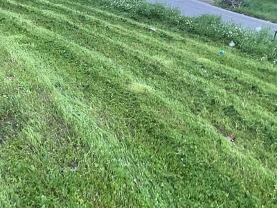 Lawn care service in Memphis, 38109