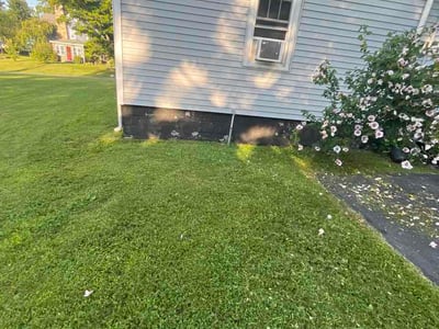 Lawn care service in Castleton-on-Hudson, 12033
