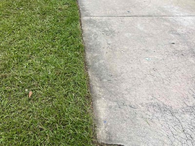 Lawn care service in Tampa, 33615