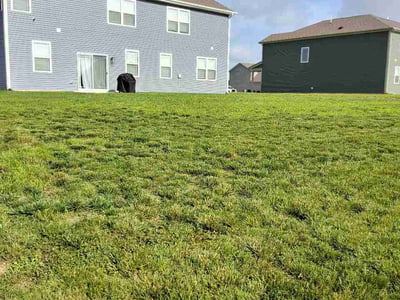 Lawn care service in Plainfield, 46168