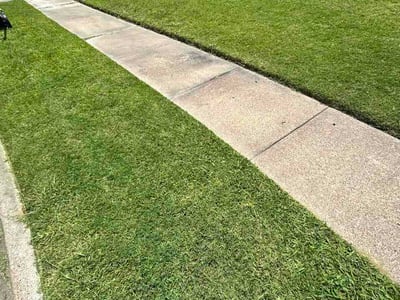 Lawn care service in Garland, 75044