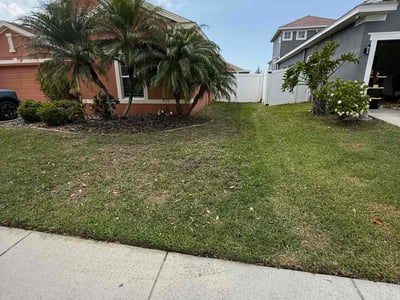 Lawn care service in Ruskin, 33570