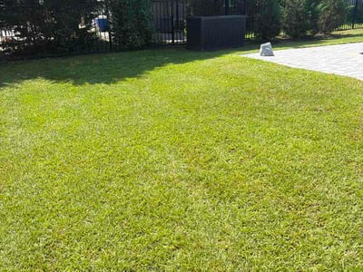 Lawn care service in Conway, 29526
