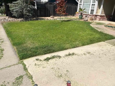 Lawn care service in Rocklin, 95677