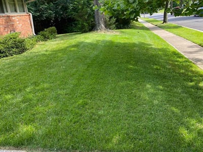 Lawn care service in Bethesda, 20814