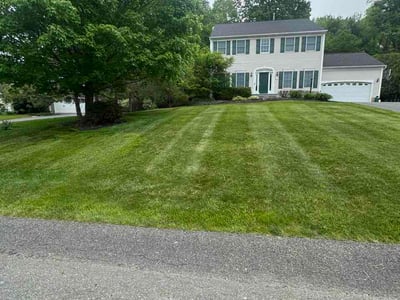 Lawn care service in Cohoes, 12047