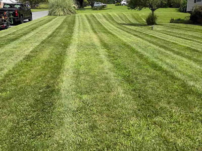 Lawn care service in Fallston, 21047