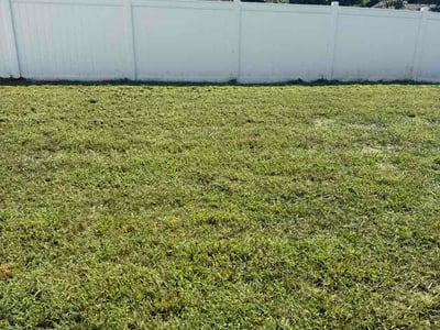 Lawn care service in Petersburg, 23803