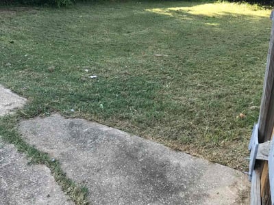 Lawn care service in Shreveport, 71104