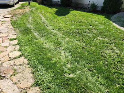 Lawn care service in Provo, 84604