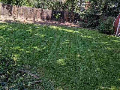Lawn care service in Denver, 80210