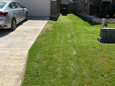 Lawn care service in San Antonio, 78245