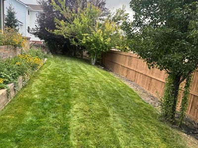 Lawn care service in Westminster, 80031