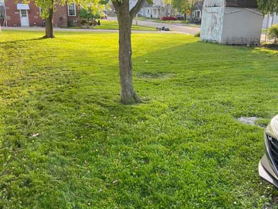 Lawn care service in Shelby, 44875