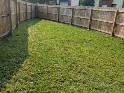 Lawn care service in Greenville, 27834
