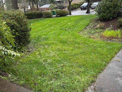 Lawn care service in Beaverton, 97007