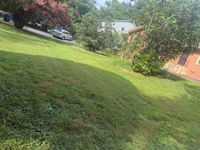 Lawn care service in Chapel Hill, 27517