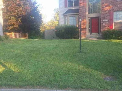 Lawn care service in Indianapolis, 46268